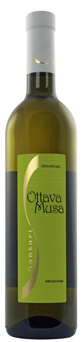 Ottava Musa